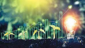  آغاز داد و ستد خرده فروشی در تالار برق سبز