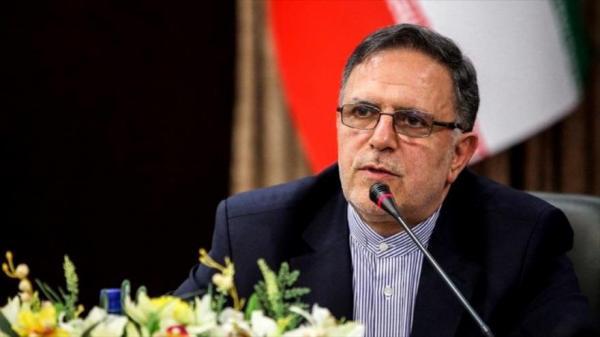 خبر خوش سیف برای اشتغال جوانان در سال جدید