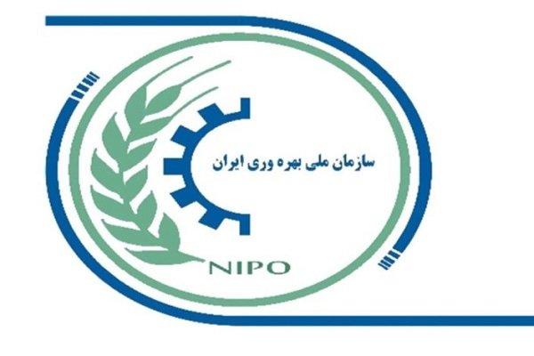شوک قیمت ارز مخل بهره وری است