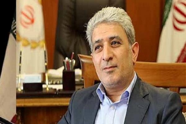 بخش خصوصی در برابر تحریم ها توانمند است