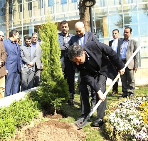 کاشت نهال در بانک کشاورزی توسط مدیرعامل این بانک