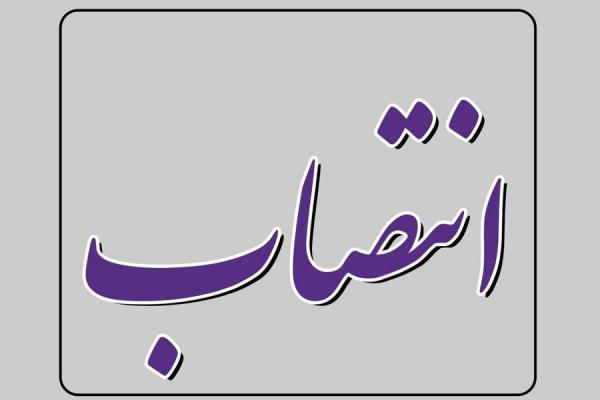 انتصاب مدیر امور تحقیق و توسعه بازار در بانک ایران زمین
