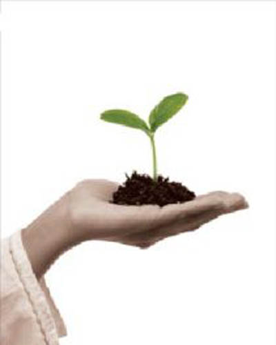 مرد قدرتمند به دنبال احیای صنعت بیمه!