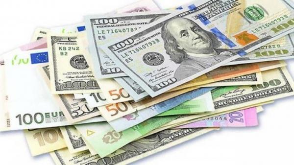یک نماینده مجلس: قیمت ارز به زودی کاهشی می‌شود
