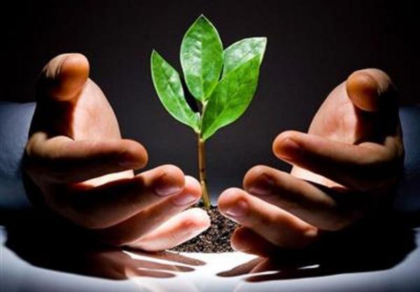 ضرورت وجود بانک قرض‌الحسنه در کنار بانک‌های تجاری