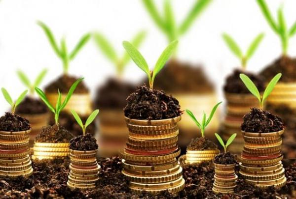 برترین صندوق‌های سرمایه‌گذاری تا ابتدای اسفند ۹۹
