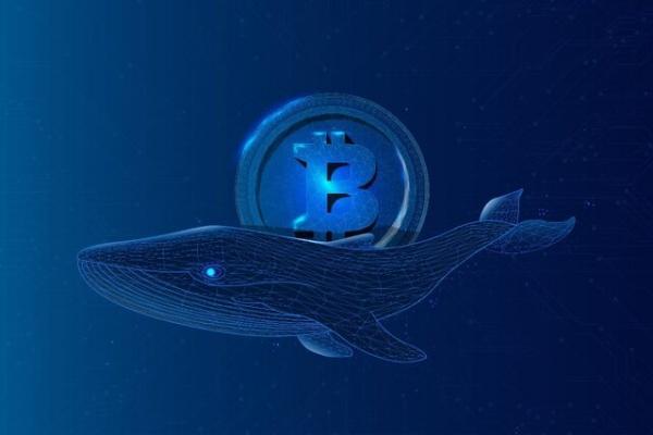  مهاجرت بزرگترین نهنگ‌های بیت‌کوین