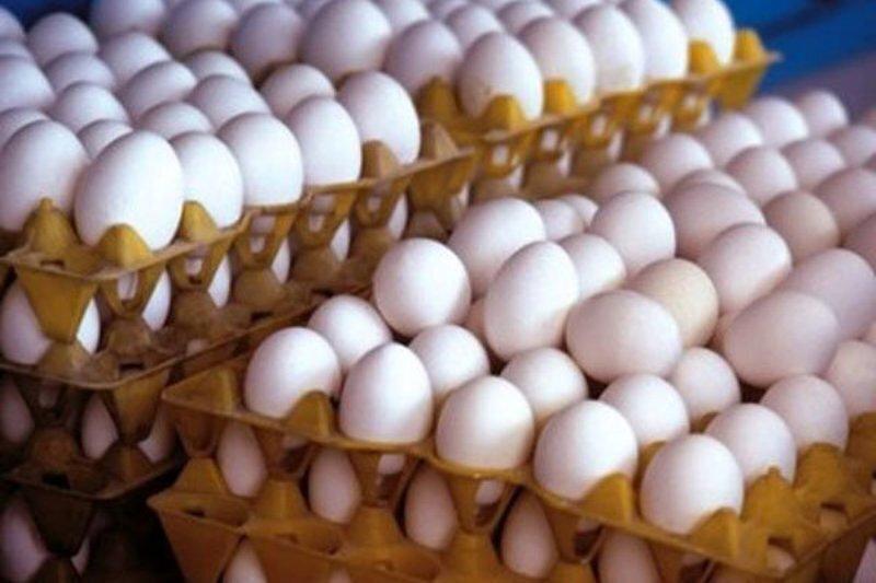  قیمت هر شانه تخم مرغ برای مصرف کننده ۴۴۰ هزار تومان