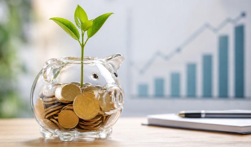 چگونه بدون تجربه وارد سرمایه‌گذاری شویم؟